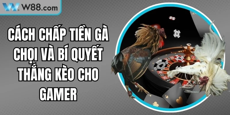 Cách Chấp Tiền Gà Chọi