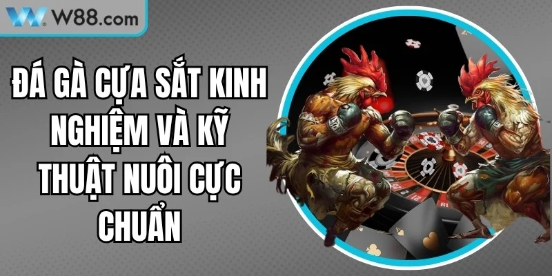 Đá Gà Cựa Sắt